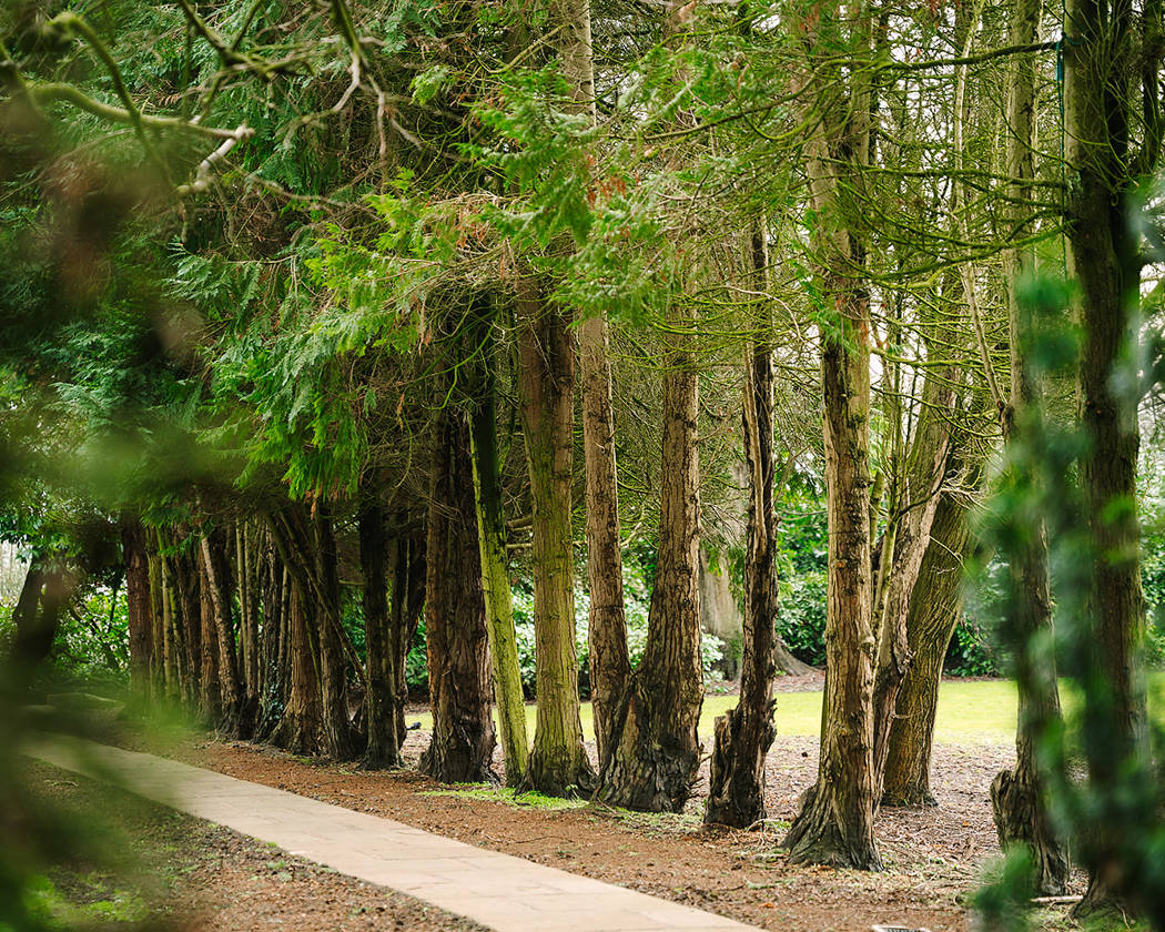 Stunning Gardens for Every Celebration