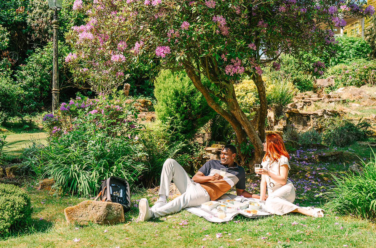 Summer Picnics